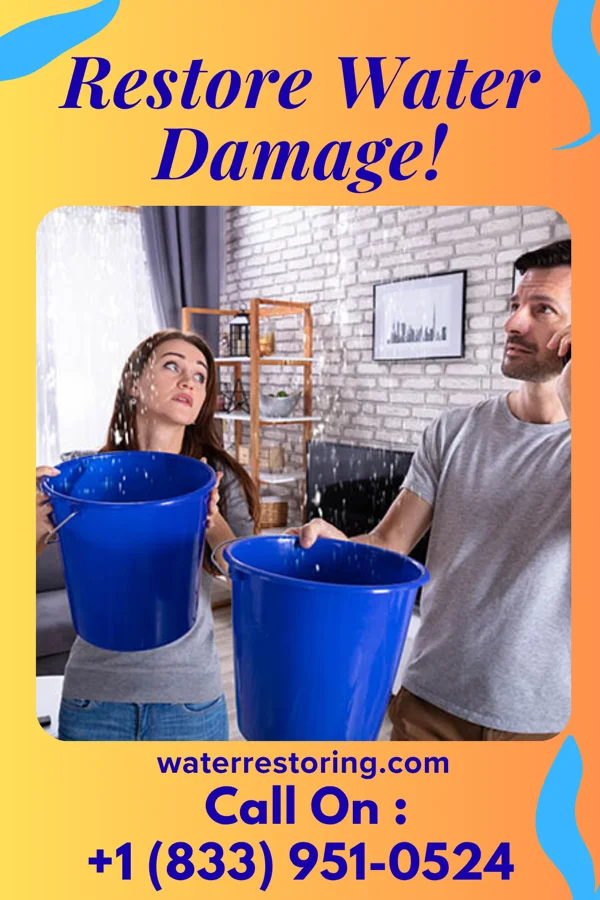 water restoration Solid Water Removal Team Cementon