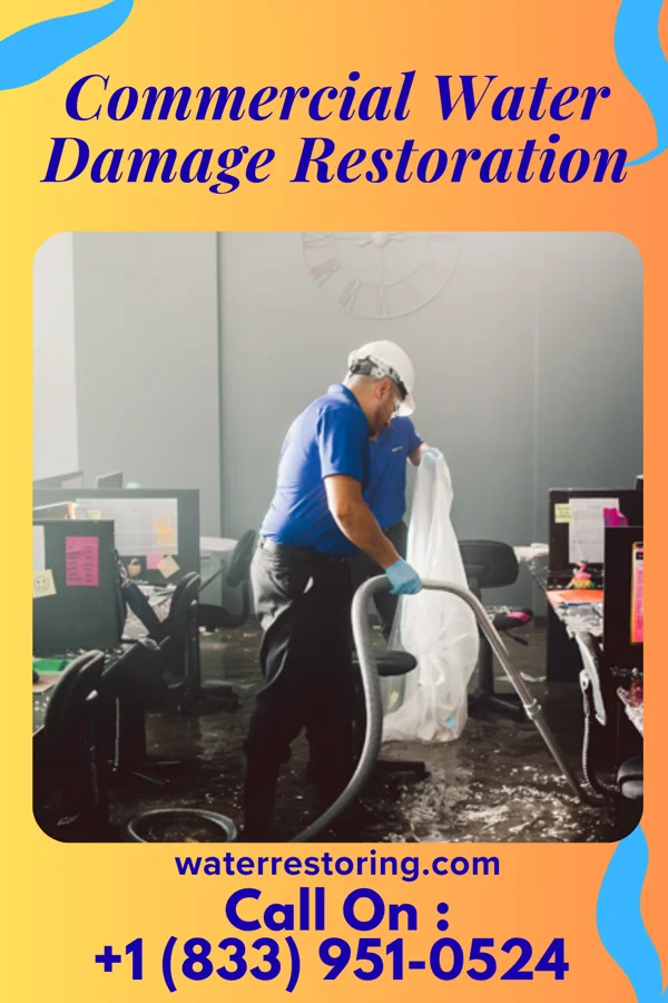 Commercial Water Damage Restoration in Cementon, PA