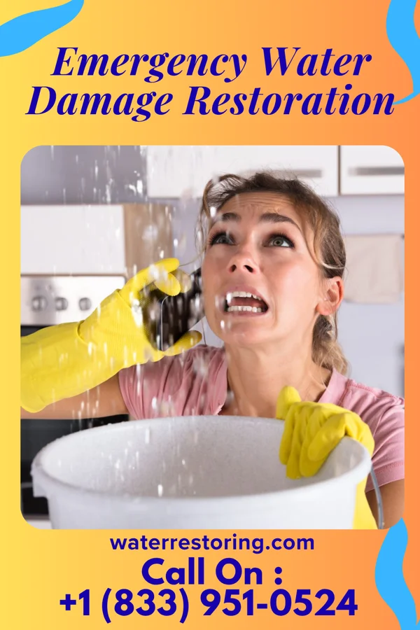 Emergency Water Damage Restoration in Cementon, PA