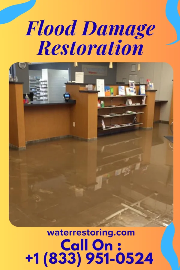 Flood Damage Restoration in Cementon, PA