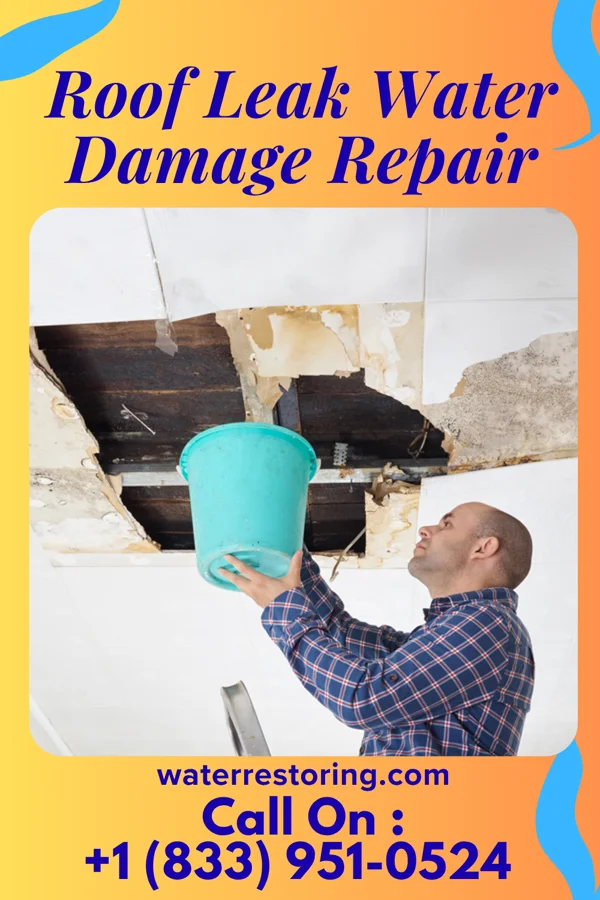 Roof Leak Water Damage Repair in Cementon, PA