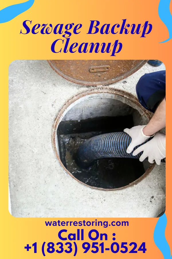 Sewage Backup Cleanup in Cementon, PA