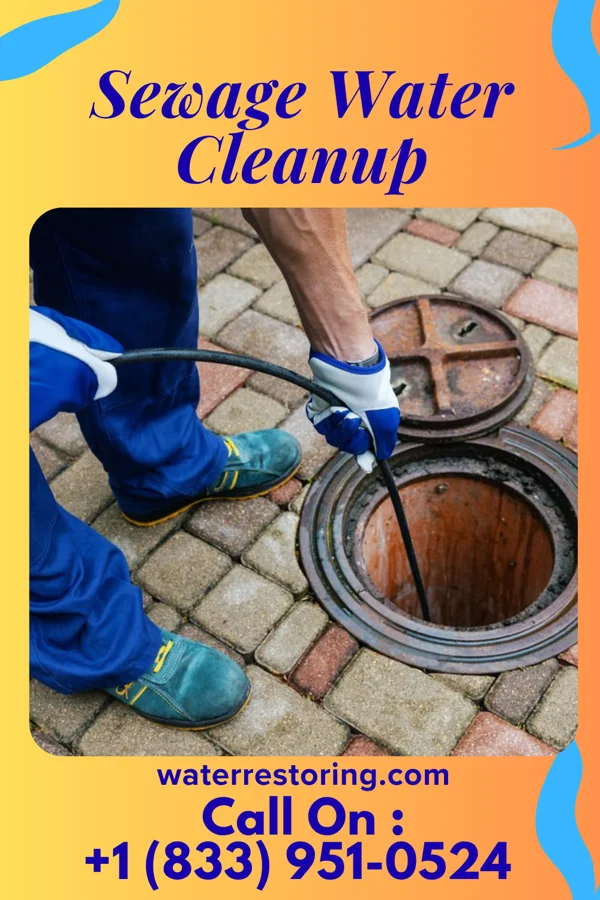 Sewage Water Cleanup in Cementon, PA