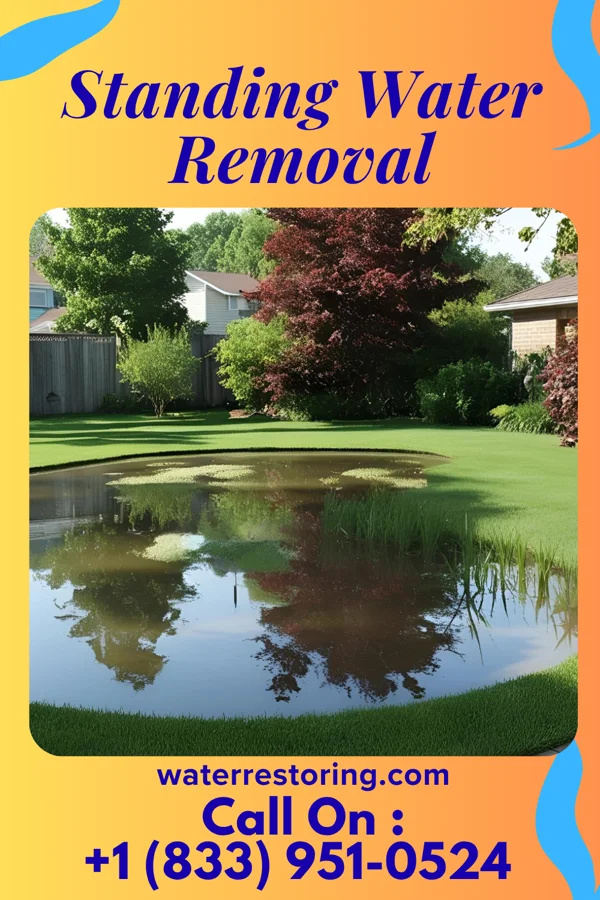 Standing Water Removal in Cementon, PA